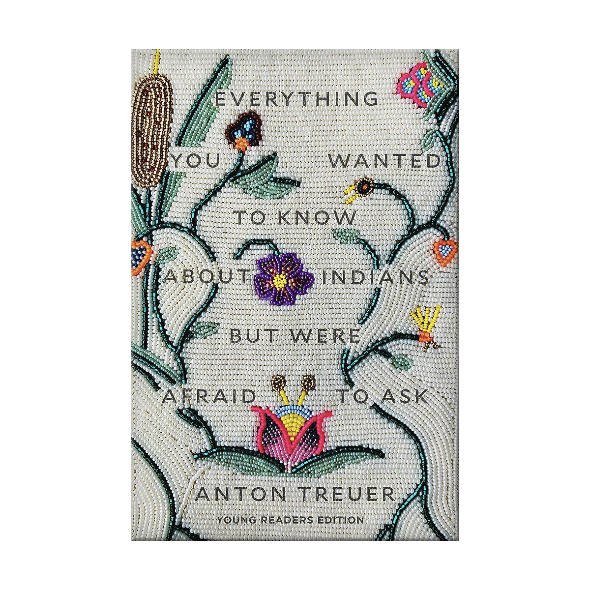 Everything You Wanted to Know About Indians But Were Afraid to Ask